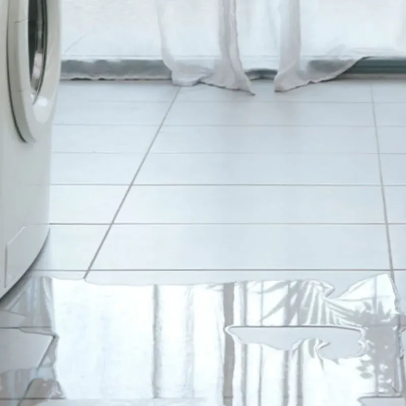 Appliance Leak Cleanup in Williamson County, IL
