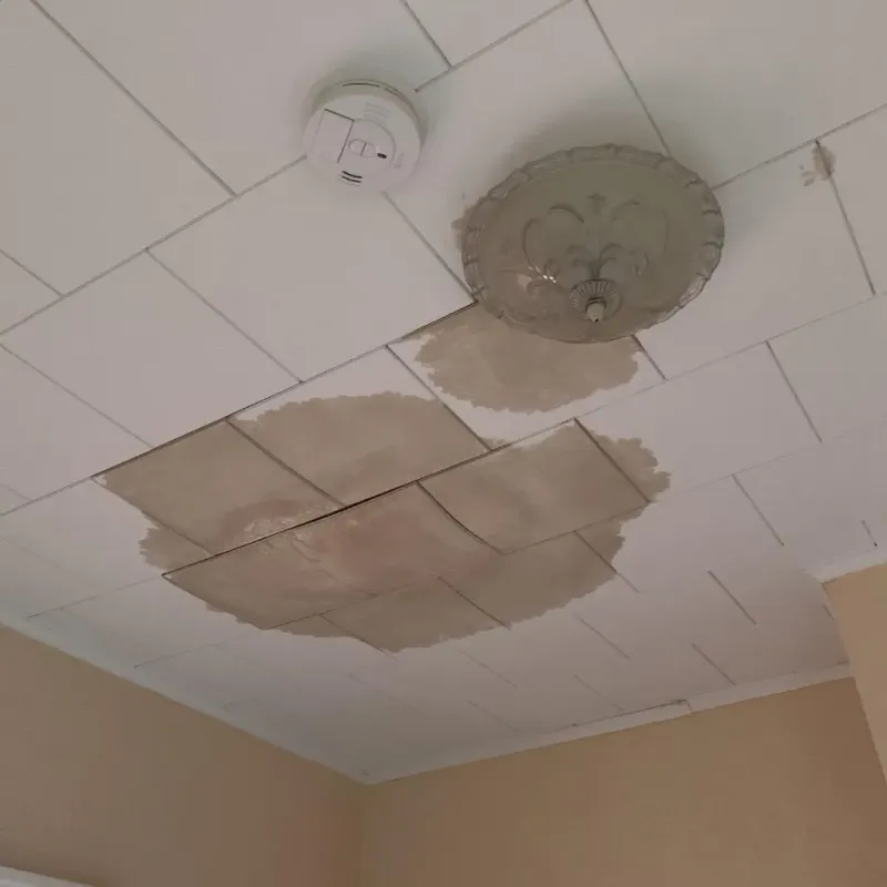 Ceiling Water Damage Repair in Williamson County, IL
