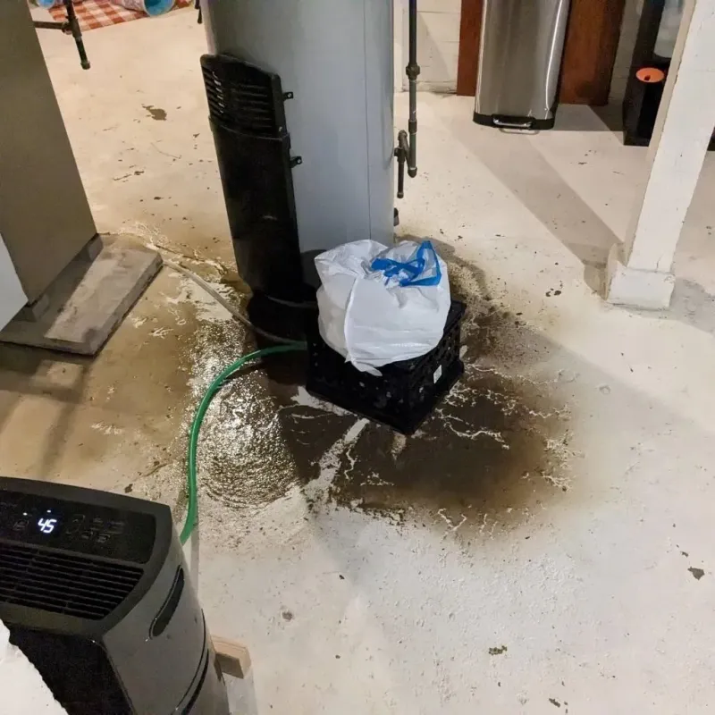 Sewage Backup Cleanup Service in Williamson County, IL
